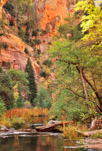 October Events Guide | Sedona Monthly