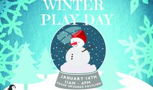 Winter Play Day