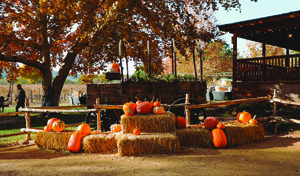 Verde Valley Pottery Festival