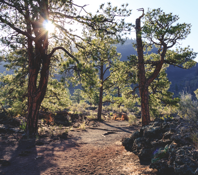 Sunset Crater