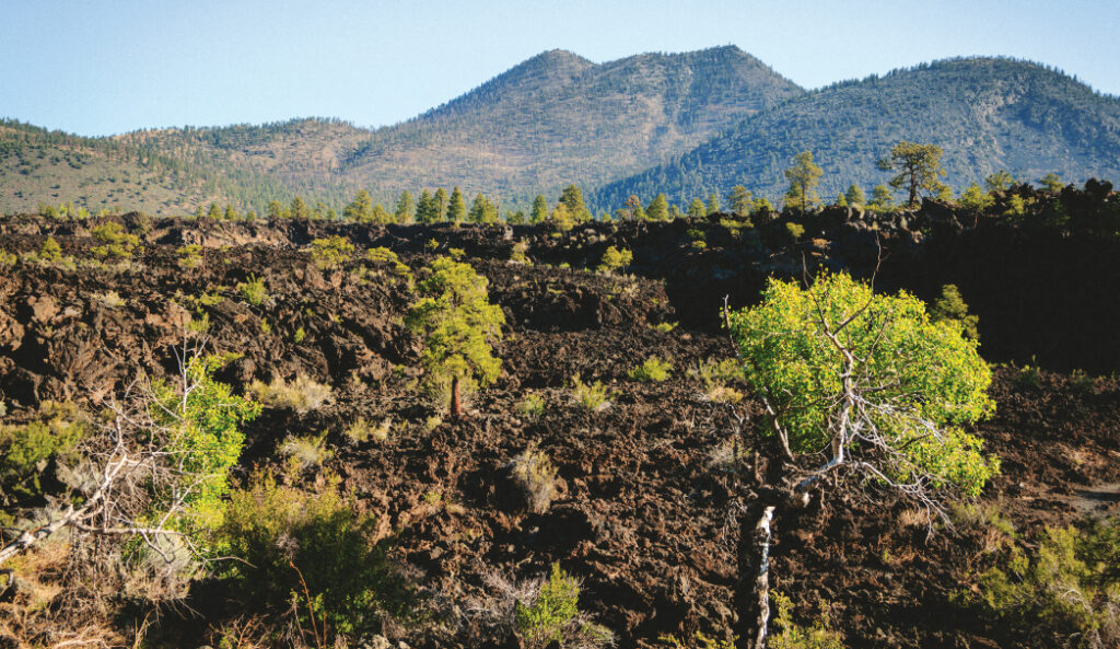 Sunset Crater