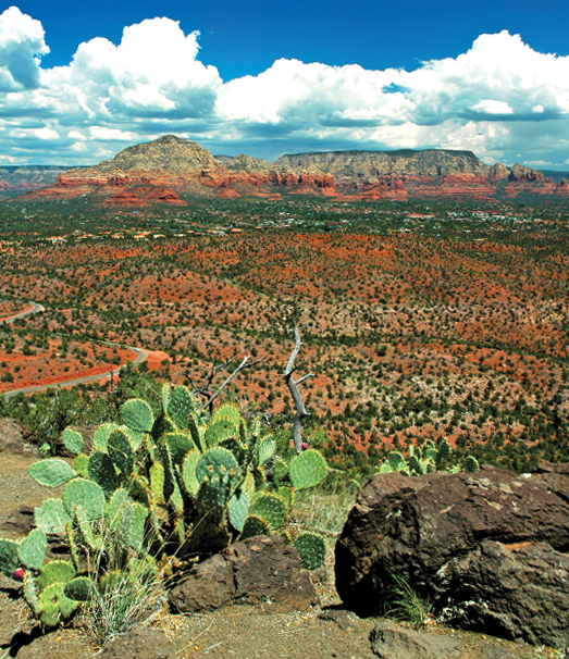 Schuerman Mountain Trail