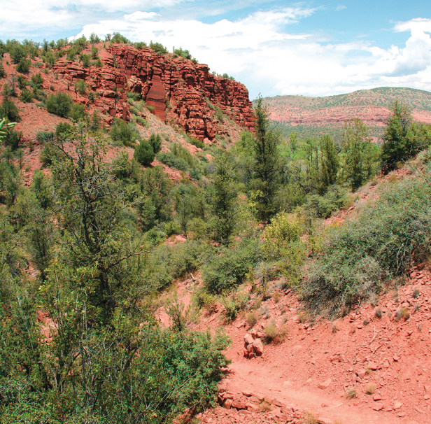 Eagle’s Nest Trail