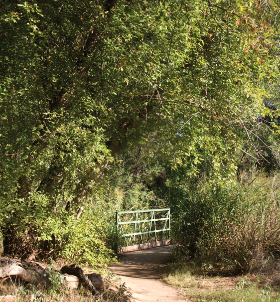 Jail Trail By Donavan Seschillie