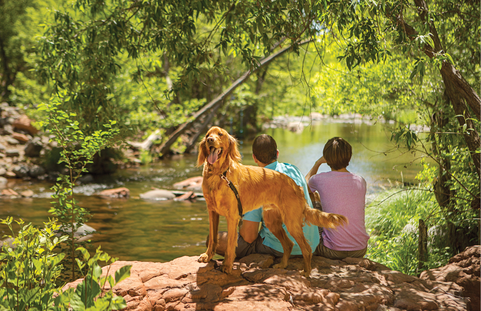 Pet-Friendly Sedona