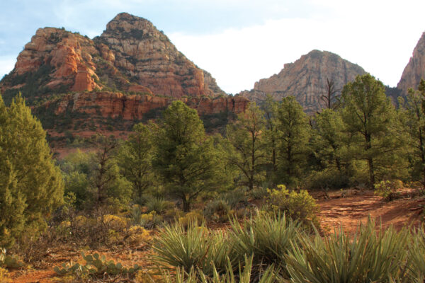 Dry Creek Trail