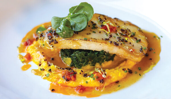 Costa Modern Latin Cuisine