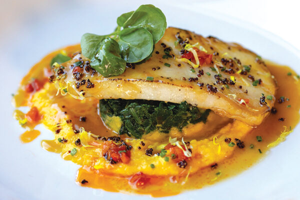 Costa Modern Latin Cuisine