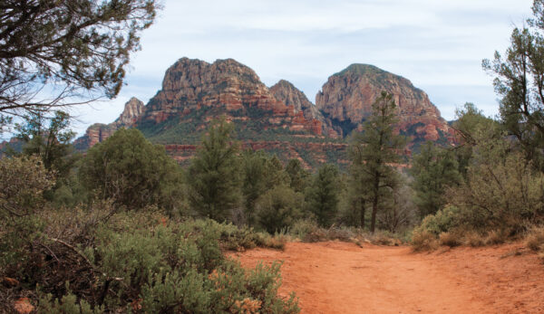 Long Canyon Trail by Donavan Seschillie