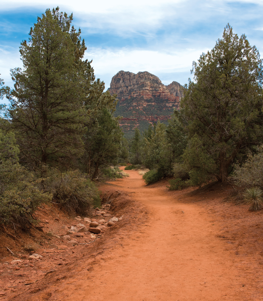 Long Canyon Trail by Donavan Seschillie