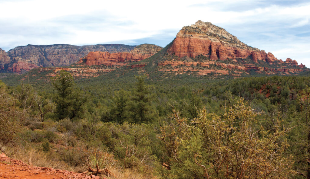 Long Canyon Trail by Donavan Seschillie
