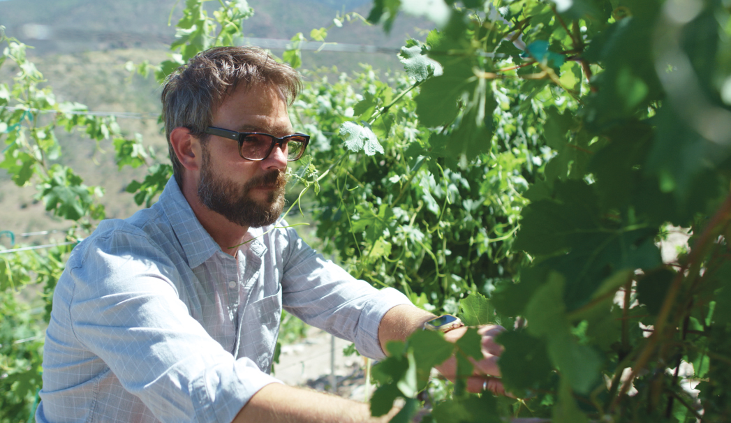 Vintage Arizona Documentary