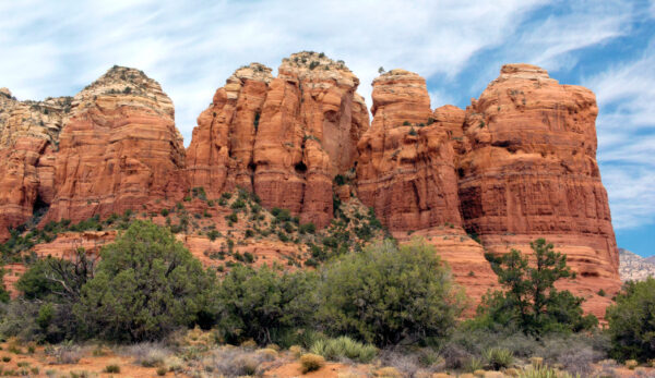 Teacup Trail by Donavan Seschillie