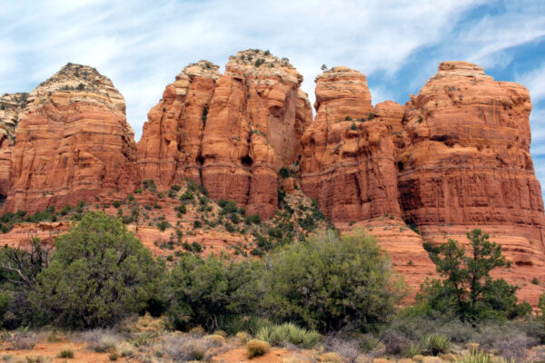 Teacup Trail by Donavan Seschillie