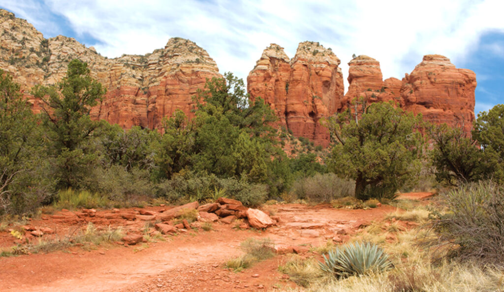 Teacup Trail by Donavan Seschillie