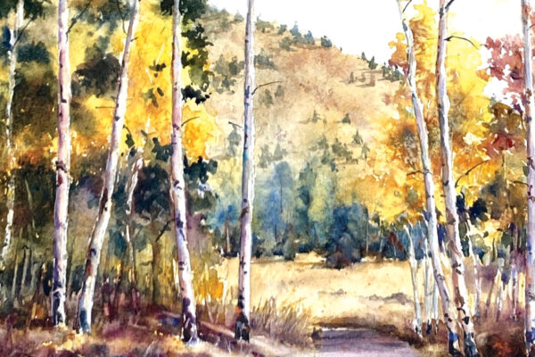 Water, Water Everywhere