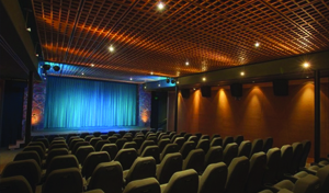 Mary D. Fisher Theatre