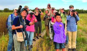 Flagstaff Festival of Science
