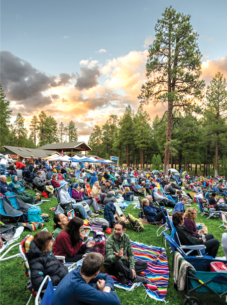 Pickin’ in the Pines