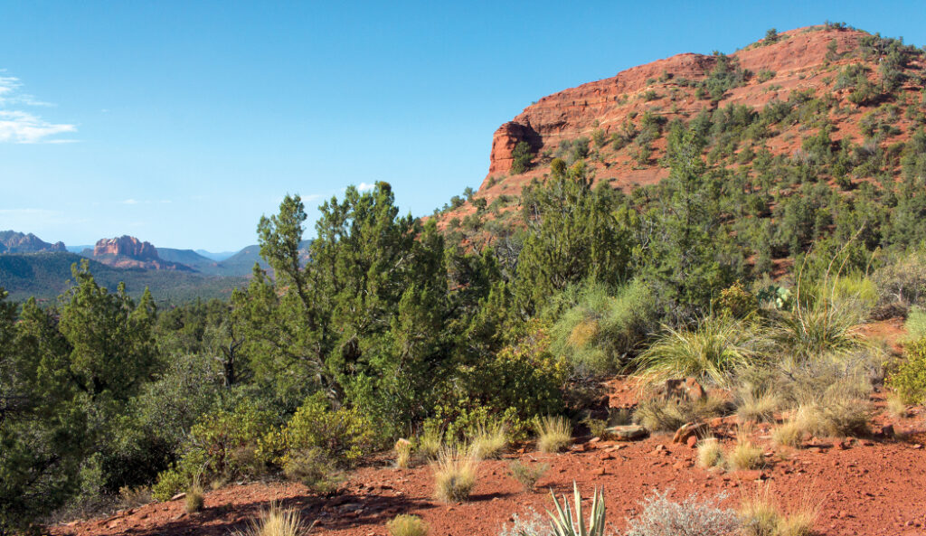 Chimney Rock Pass Trail by Donavan Seschillie