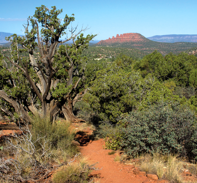 Chimney Rock Pass Trail by Donavan Seschillie