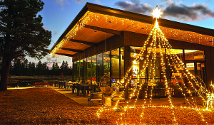 North Pole Experience