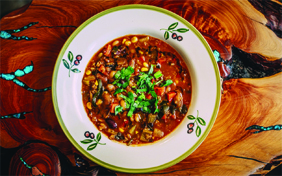 Lisa Dahl Foundation