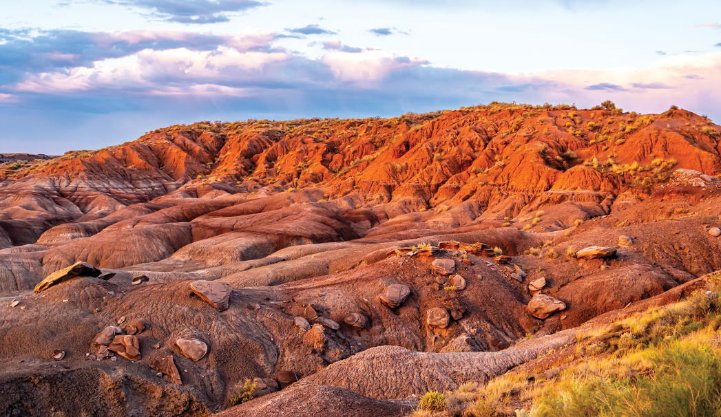 Centennial Celebration