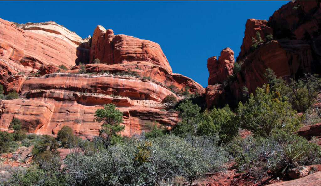 Boynton Canyon Area