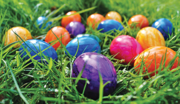 Cottonwood's Annual Easter Eggstravagnza