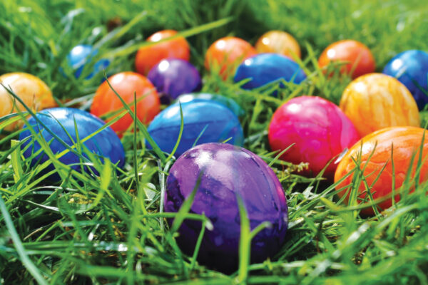 Cottonwood's Annual Easter Eggstravagnza