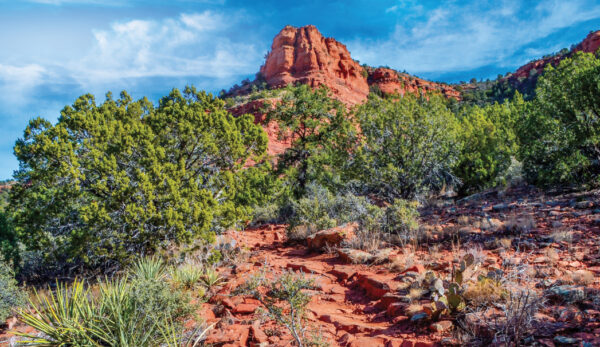 Aerie Trail