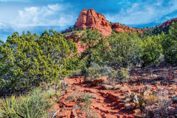 Aerie Trail