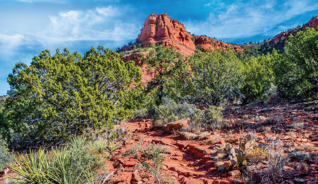 Aerie Trail