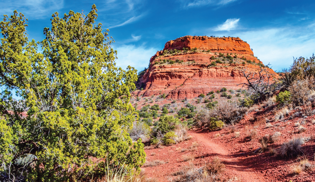 Aerie Trail