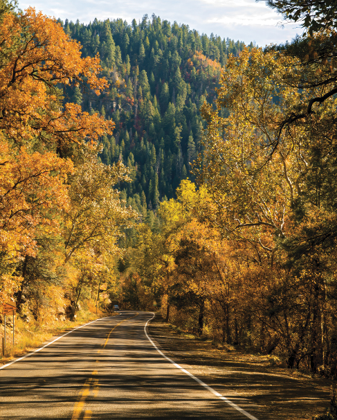 Sedona Scenic Drives