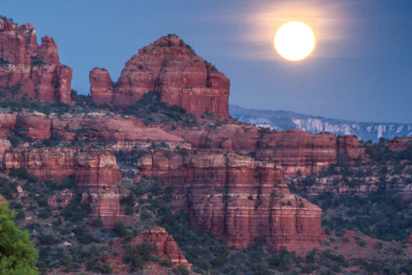 Moonlight Hikes
