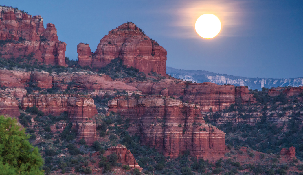 Moonlight Hikes