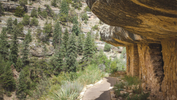 Walnut Canyon By Donavan Seschillie