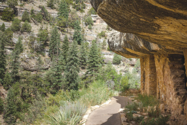 Walnut Canyon By Donavan Seschillie