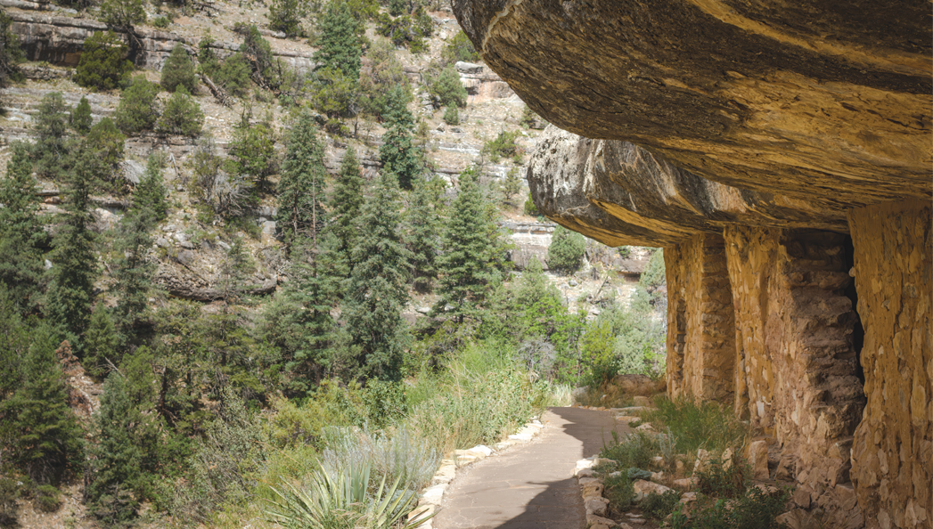 Walnut Canyon By Donavan Seschillie