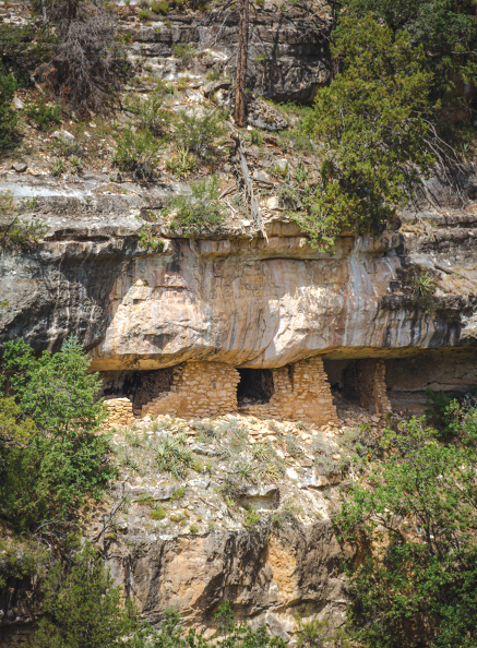 Walnut Canyon By Donavan Seschillie