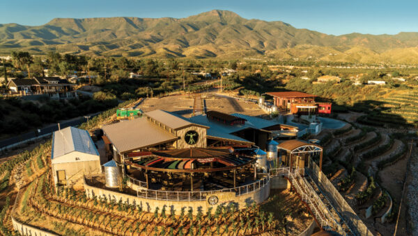 Merkin Hilltop Winery & Trattoria