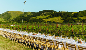 Outstanding in the Field