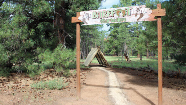 The Barefoot Trail