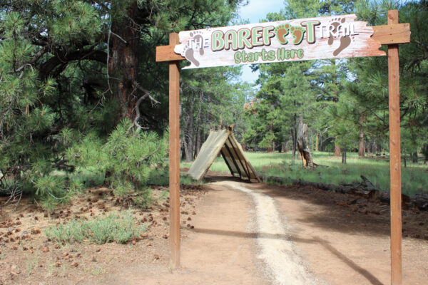 The Barefoot Trail