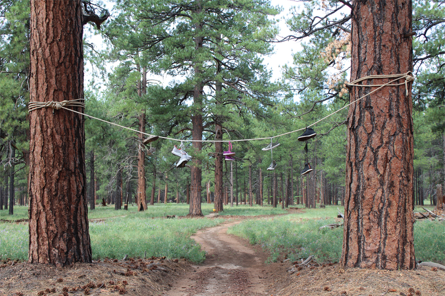 The Barefoot Trail