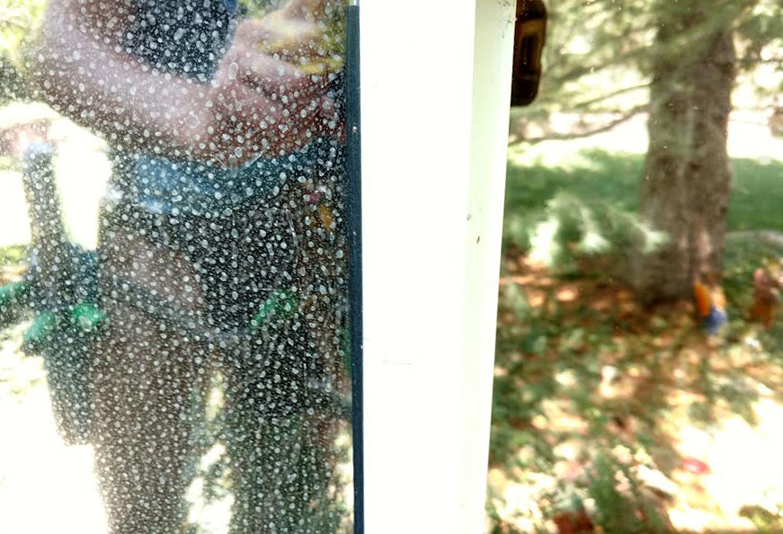 TLC Window Cleaning