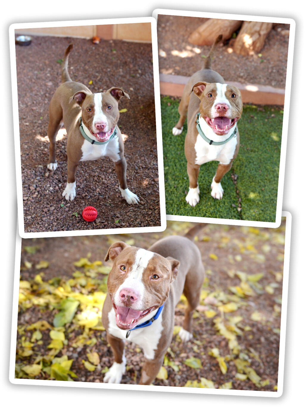 Axle