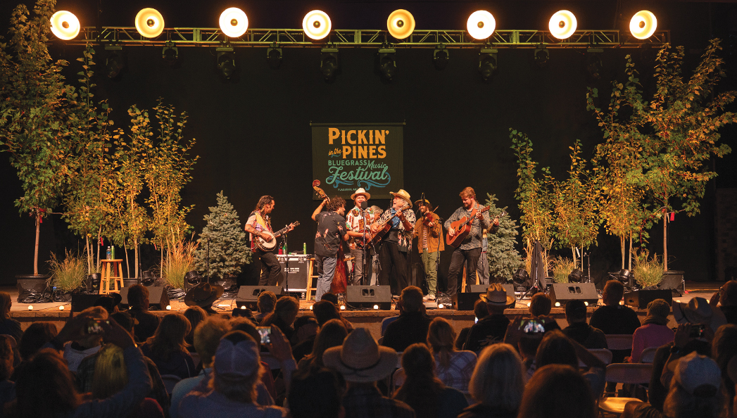 An Acoustic Celebration